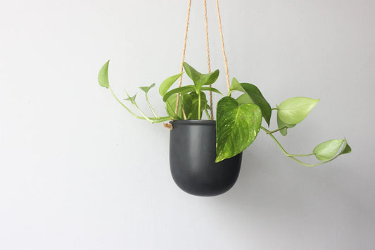 Matte Blk Ceramic Hang Vase Pot 4.5"