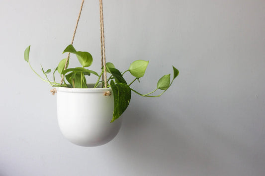 Matte Wh Ceramic Hang Vase Pot 4.5"